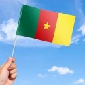 Cameroon Flag