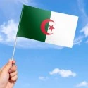 Flag of Algeria Flag of Algeria
