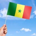 Flag of Senegal