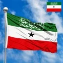 Flag of Somaliland
