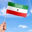 Flag of Somaliland