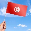 Flag of Tunisia