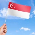 Flag of Singapore