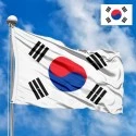 Flag of South Korea