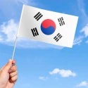 Flag of South Korea