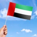 Flag of the United Arab Emirates