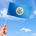 Flag of the Organization of American States Flag of the Organization of American States