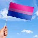 Bisexual Flag Bisexual Flag