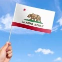 Flag of California (US state)
