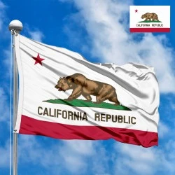 Flag of California (US state)
