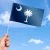 Drapeau de la Caroline du Sud (État américain)