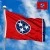 Flag of Tennessee (US state)