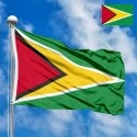 Flag of Guyana