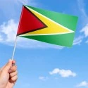 Flag of Guyana