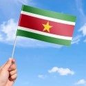 Flag of Suriname
