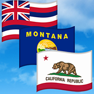 Flaggen der US-Bundesstaaten